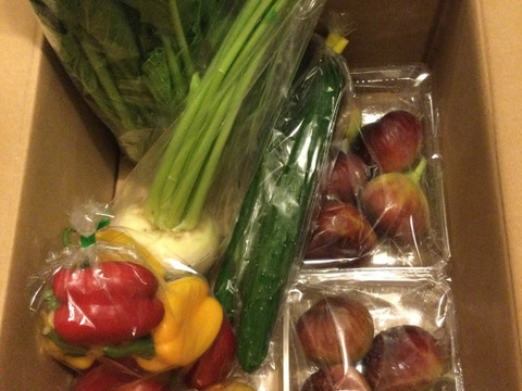 イチジク2パック&採りたて野菜5品セット（本州の方限定）