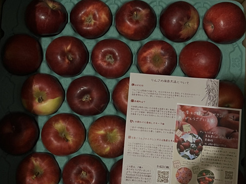 ～🍎陽だまりりんご🍎～お菓子作りに最適です！『太陽の恵みいっぱい紅玉』【規格外】　１６個から２５個入り