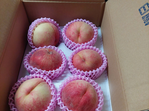 品種おまかせ糖度11度以上1.5kg（4-6玉）硬い桃👑金賞受賞👑全国