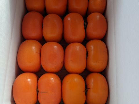 大人の渋抜き柿（ブランデー脱渋・平核無柿・家庭用）