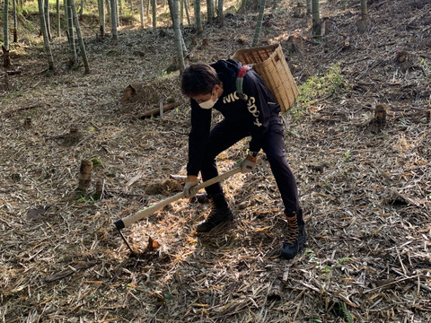 朝採りタケノコはいかがでしょうか？2kg