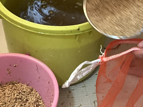 【令和７年産新米】ササニシキ玄米5kg★天日干し・自然栽培