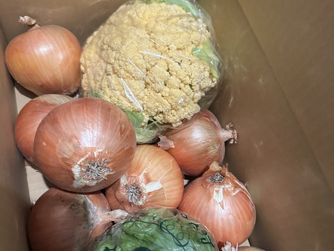 淡路島極熟玉葱2kg🧅  シャーロットオニオン　玉ねぎ大国淡路島からのたまねぎ