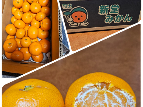 越冬蔵出しみかん　小玉3キロ　有田みかん