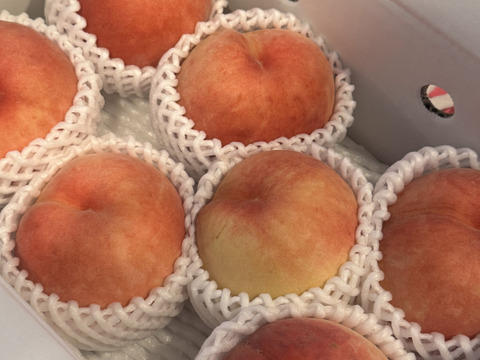 桃名人厳選　桃　『おどろき』2ｋｇ（5-9玉）