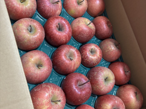 【大特価🍎丸かじりサイズ】家庭用/訳ありでも美味しい！葉取らずサンふじ(りんご4kg前後)