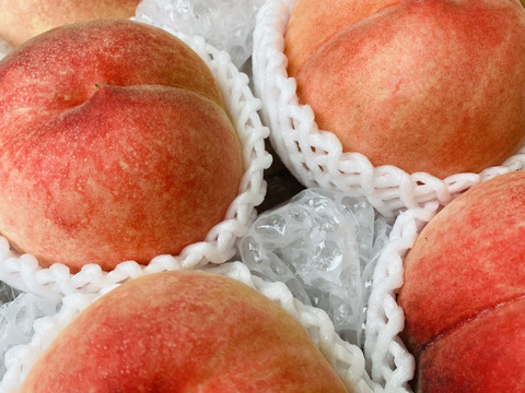 たっぷり家庭用わがままボディ♡もも♡山形県産あかつき♡