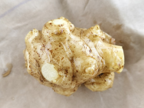 キクイモ5キロちよっと訳あり⭐:茨城県産の白菊芋|食べチョク キクイモ5キロちよっと訳あり⭐:茨城県産の白菊芋|食べチョク