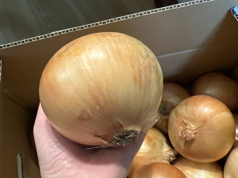 【5kg】淡路島たまねぎ 特別栽培 兵庫県認証食品 ひょうご安心ブランド あさひサンファーム ご家庭 南あわじ市 淡路島産たまねぎ レシピ付き！