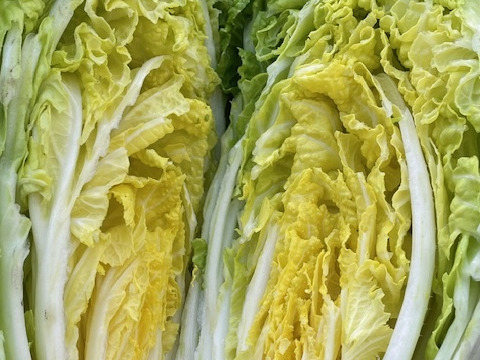 いものこ(旬)増量・黒にんにく＆季節野菜特価セット