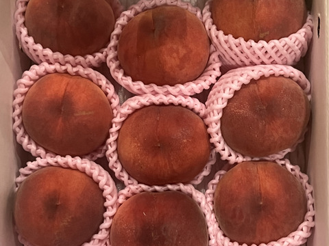 🍑希少な桃　美郷　約3kg　8～14玉　8月上旬　採れたて農家直送　夏ギフト【朝どれ】