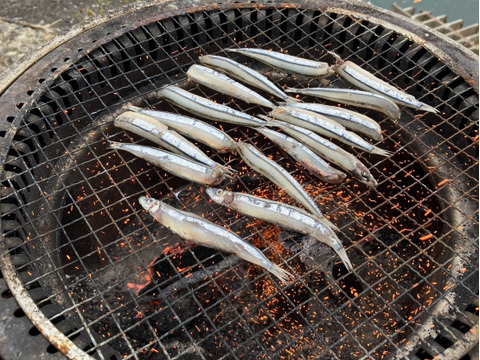 五島列島産　きびなごづくしセット　冷凍