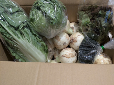 大好評，地層が違う淡路島、新玉ねぎスーパーアップ5キロ(風袋込み)