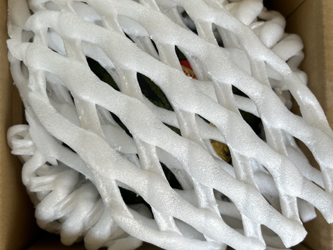 金色羅皇（こんじきらおう）7〜8kg