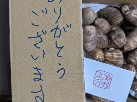 ぐんまの里芋　2kg