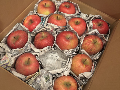 サンふじ　訳あり家庭用（約4.5㎏）10～25玉
甘さ･酸味･食感の三拍子が揃ったりんご　
形やキズなどで贈答用になれなかったりんごたち
バラ詰めでお届け　信州長野県産