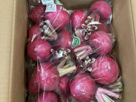 手で皮がむける　もものすけかぶ3ｋｇ　有機ＪＡＳ