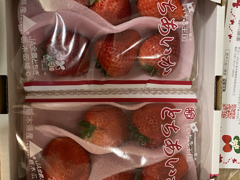 特大(2P) 500g以上【いちご・とちあいか】どでかいビックリサイズ厳選いちご★栃木県産いちご「とちあいか」(２パックx280g)●甘さがキラリ大粒いちご●お届け日指定可