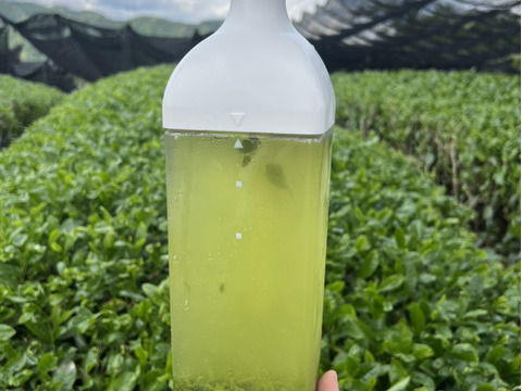 ＊2026年新茶＊【王道の日本茶!】爽やかな風味とスッキリとした苦味！ 特上煎茶　茶葉　100g(約50杯分)　農薬・化学肥料・除草剤・畜産堆肥不使用　宇治茶100%
