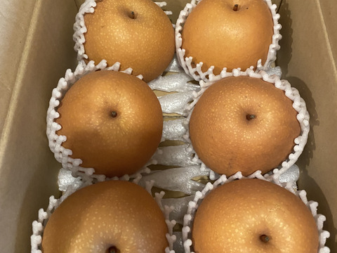日迎梨　家庭用　林農園オリジナル品種 約2.5kg(4～7玉)