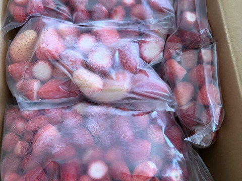 いちご農家直送！冷凍いちご 4kg(小分け500g×8袋)入り