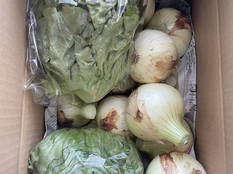 大好評，地層が違う淡路島、新玉ねぎスーパーアップ２キロ(風袋込み)