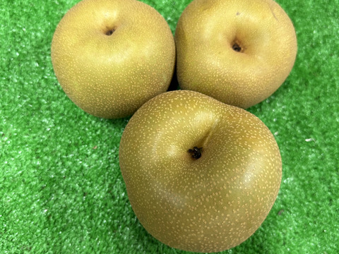 ※訳あり※ 栃木県産 大人気の幸水梨　3㎏