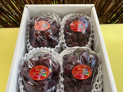 【2026年予約】岡山県産「ニューピオーネ」果汁たっぷり大粒種無し2kg以上(3～4房）