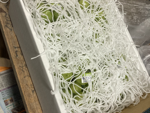 悪魔のぶどう😈  山梨県産シャインマスカット3kg