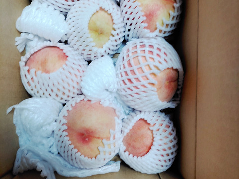 川中島白桃　訳あり　2キロ