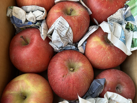 まるせい果樹園の節分りんご　訳あり　6㌔　自家用　家庭用　hs1