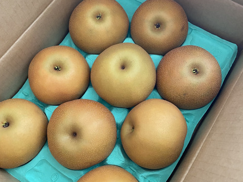 【南水3ｋｇ】糖度15°、超甘い、シャリ感、硬い、ジューシー、日保ちする信州生まれの優れもの！⑨【秀品】