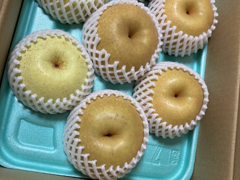 美味しい梨！ わくわく複数品種詰め合わせ 約3kg