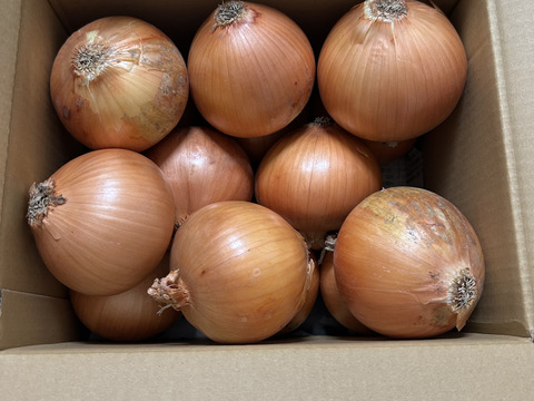 大地の恵み！淡路島完熟玉ねぎ🧅【シャーロットオニオン　輝玉（キラ玉✨）】(3kg)