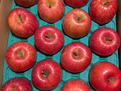 青森県産　甘い完熟サンふじ5キロ　14個から18個入