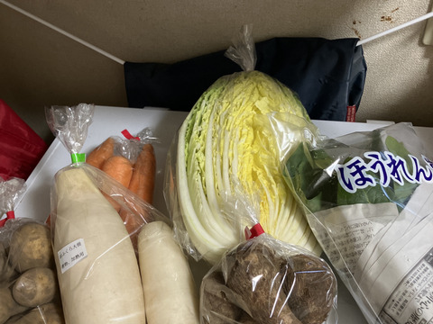 群馬県高崎産】季節の野菜SSセット（5～6品）『農薬及び化学肥料