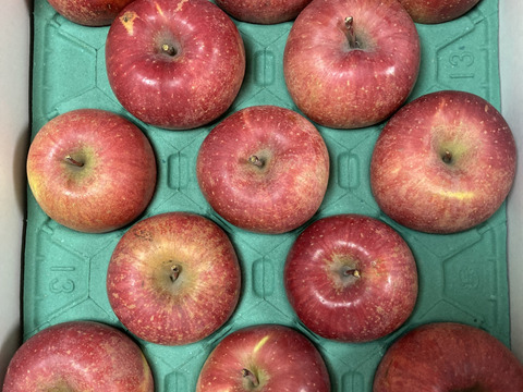 【りんご】樹上完熟「サンふじ」家庭用5ｋｇ　福島産　他県に引けをとらない美味しさ