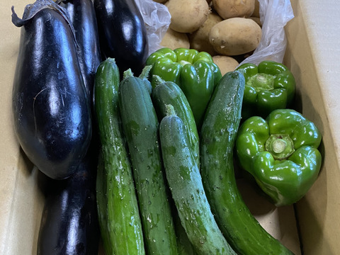 【季節限定】旬の夏野菜セット(4品目)