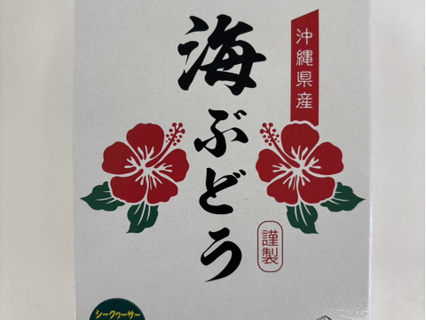 【長期保存可】水で戻る！塩水漬け海ぶどう（茎付き）
50g×10P