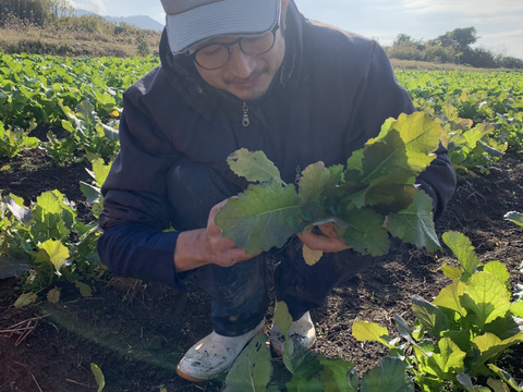 【自然栽培】会津伝統野菜含む5~8品目旬のお野菜セットLサイズ