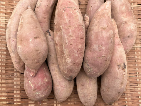 自然栽培〈べにはるか〉大分県産さつまいも 　Ｌサイズ5kg