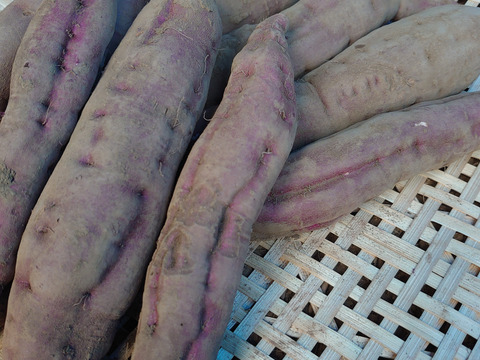 【農薬化学肥料不使用】甘くてホクホク！ベニアズマ さつまいも 1ヶ月熟成 箱込み2kg