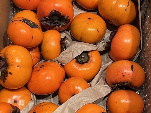 ✨【甘柿（富有柿）】2.8kg（23～30玉）　農薬肥料不使用の自然栽培✨