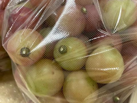 【※数量限定】希少品種クイーンニーナ 粒カットバラ　フルーツ王国・岡山県産