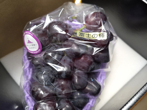 【数量限定】山梨県産 超希少高級ブドウ‼ 富士の輝 (800ｇ以上/1房ギフト・贈り物用に【贈答品】【特秀品】【秀品】