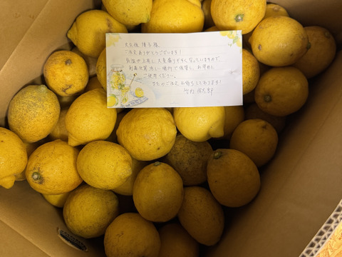 【訳アリ】『広島県産レモン 15kg（105個前後）』栽培期間中農薬不使用