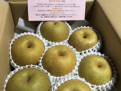 安野農園の『恋する甘さ！』幸水梨秀品3キロ4〜10玉［8月下旬〜］