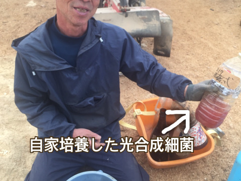 ねっとりあまーい安納芋♦︎5kg(ファミリーサイズ)♦︎長崎県五島産