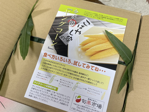 【旬のヤングコーンを新鮮に】期間限定！皮つききみひめヤングコーン　60サイズ箱満タン詰め！30本前後になります！