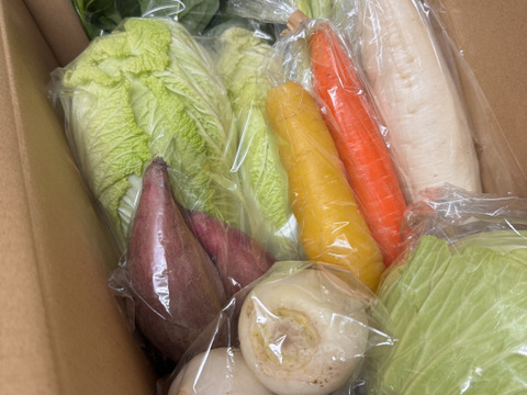 Mサイズ ＊旬野菜セット(約8~9品)【農薬：栽培期間中不使用】